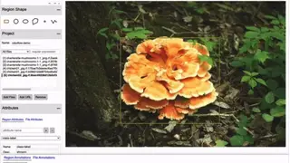 VGG Image Annotator (VIA) screenshot