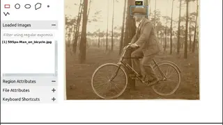 VGG Image Annotator (VIA) screenshot