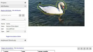 VGG Image Annotator (VIA) screenshot