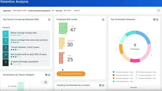 Vibe HCM screenshot