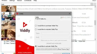 Viddly screenshot
