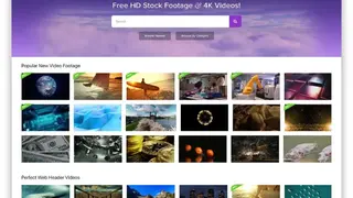 Videezy screenshot