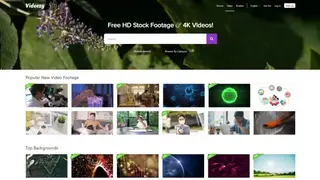 Videezy screenshot