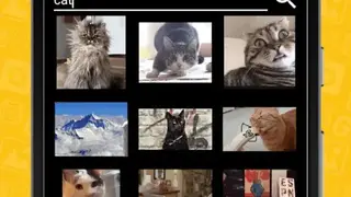Video and GIF Memes Free screenshot