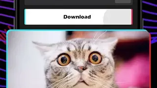 Video Downloader for Tiktok – No Watermark Free screenshot