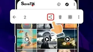 Video Downloader for TikTok – No Watermark SaveTik screenshot