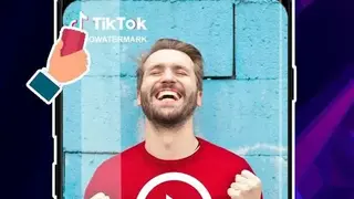 Video Downloader for TikTok – No Watermark SaveTik screenshot