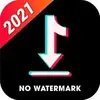 Video Downloader for TikTok No Watermark – TikDown