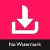 Video Downloader for TikTok – No Watermark TikMate