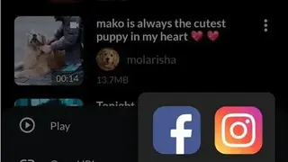 Video Downloader for TikTok – Tmate screenshot