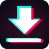 Video Downloader for TikTok – Tmate
