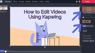 Video Filters by Kapwing screenshot
