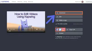 Video Filters by Kapwing screenshot