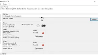 Video Inspector screenshot