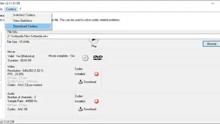 Video Inspector screenshot