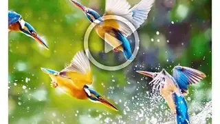 Video Speed Changer screenshot