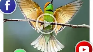 Video Speed Changer screenshot