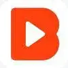 VideoBuddy