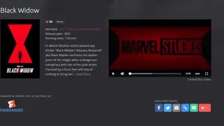 VideoDetective screenshot