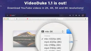 VideoDuke screenshot