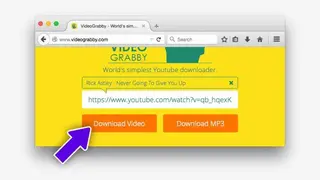 VideoGrabby screenshot