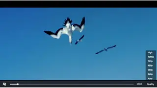 Videojs screenshot