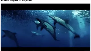 Videojs screenshot
