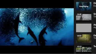 Videojs screenshot