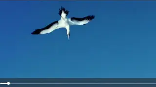 Videojs HTML5 Player screenshot