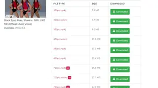 VidFrom screenshot