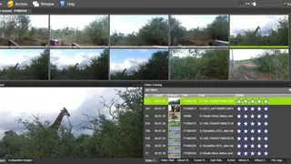 Vidine screenshot