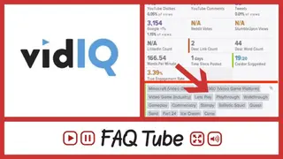 vidIQ screenshot