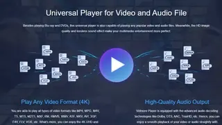 Vidmore Player screenshot