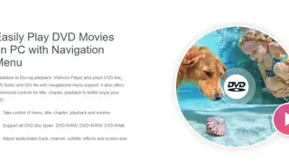 Vidmore Player screenshot