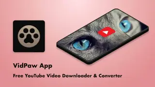 Vidpaw screenshot