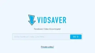 VidSaver screenshot