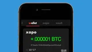 VidyBit screenshot