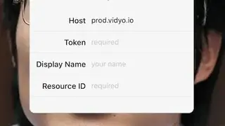 Vidyo.io Connector screenshot