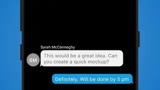 VidyoConnect screenshot