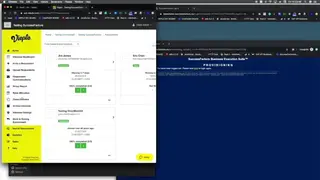 Vieple screenshot