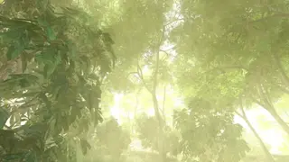 Vietcong screenshot