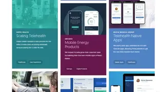 Viget screenshot