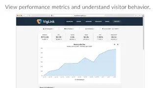 VigLink screenshot
