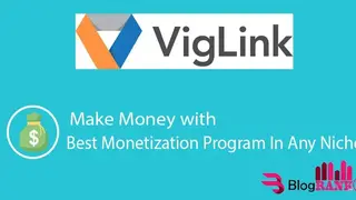 VigLink screenshot