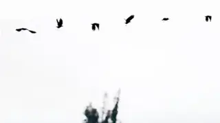 VIMAGE screenshot