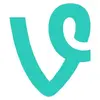 Vine