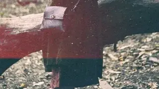 Vintage Camera screenshot
