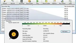 Vinyl Manager screenshot