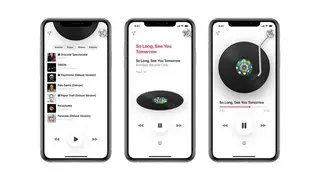 Vinyls screenshot