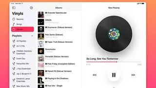 Vinyls screenshot